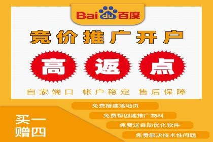 案例分析：成功SEM托管策略全解析